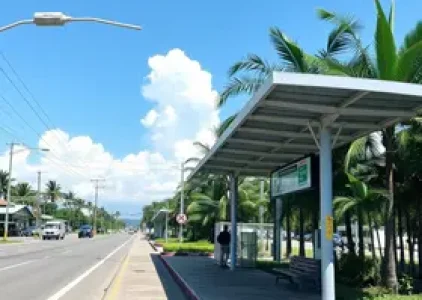 Últimas noticias de Palmas