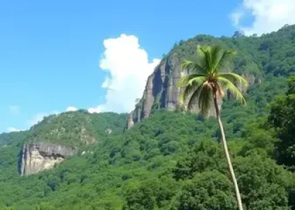 Últimas noticias de Palmas