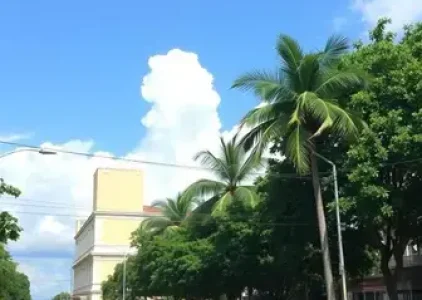 Últimas noticias de Palmas