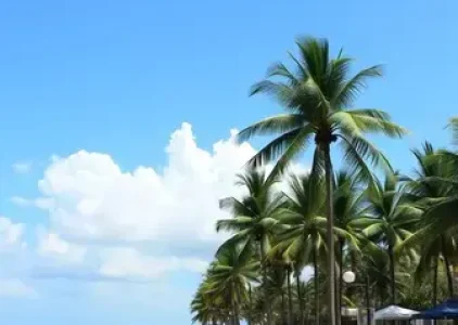 Últimas noticias de Palmas