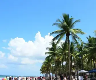 ponto facultativo em Palmas