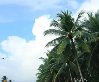 previsão do tempo em Palmas