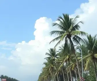 previsão do tempo em Palmas