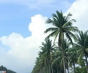 previsão do tempo em Palmas