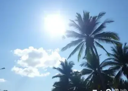 Últimas noticias de Palmas