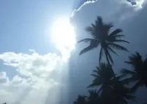 previsão do tempo em Palmas