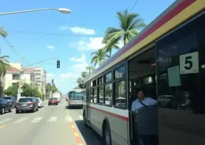 Últimas noticias de Palmas