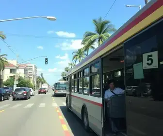 transporte coletivo de Palmas