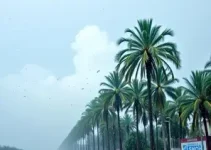 vai chover em Palmas neste domingo
