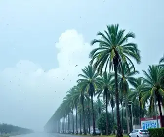 vai chover em Palmas neste domingo